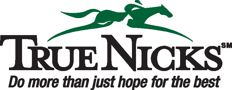 TrueNicks Poplar Creek Stallions