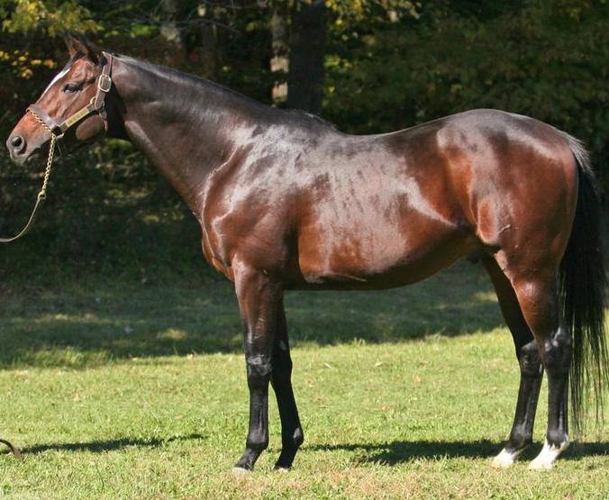 Click here to view KING OF THE ROXY