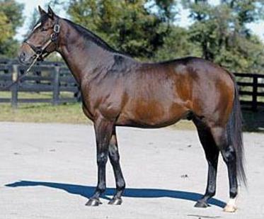 Click here to view DAVID COPPERFIELD