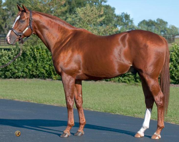 Click here to view INDY WIND