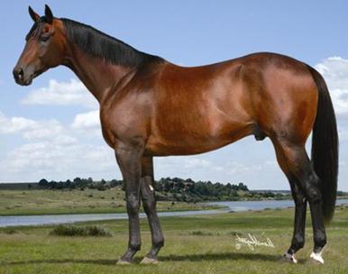 Click here to view AENEAS