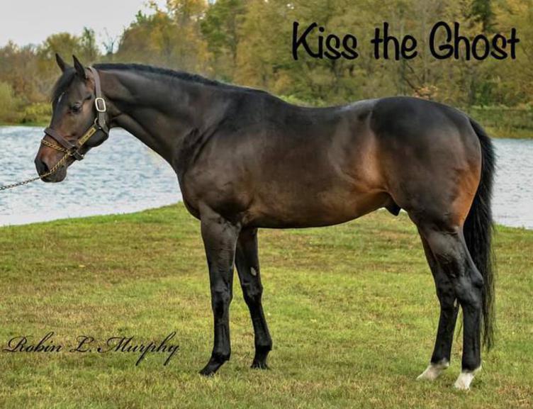 Click here to view KISS THE GHOST