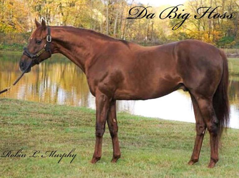 Click here to view DA BIG HOSS