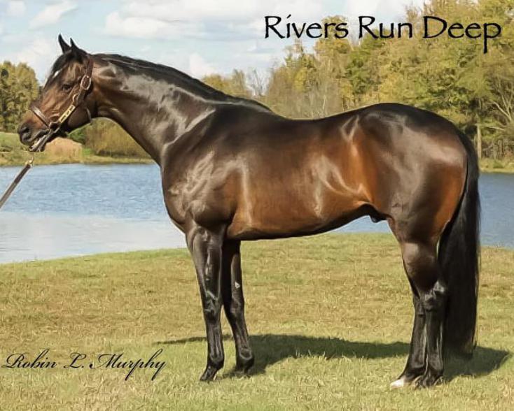 Click here to view Rivers Run Deep