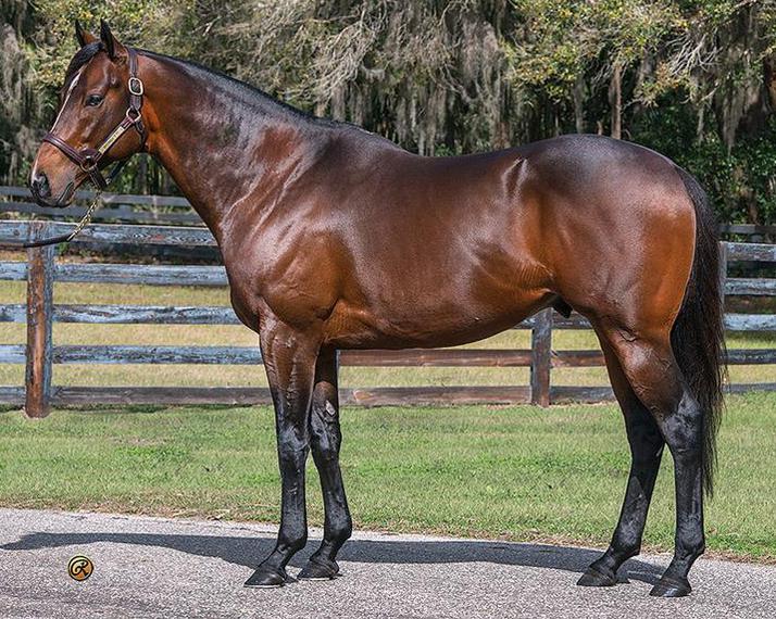 Click here to view Biondetti